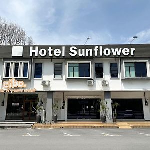 Hotel Sunflower - Hls